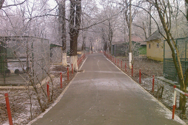 Grădina Zoologică Oradea Veche.