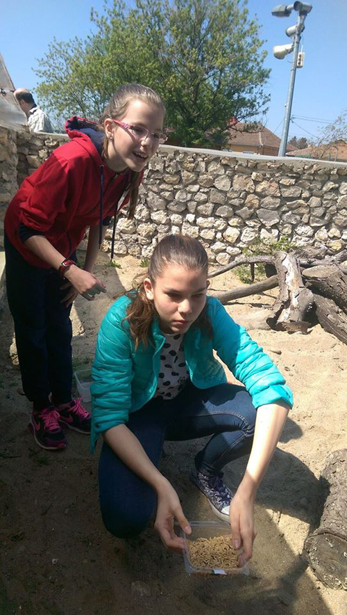 Ziua Părinţilor Adoptivi în Grădina Zoologică Oradea. Părinţi adoptivi.